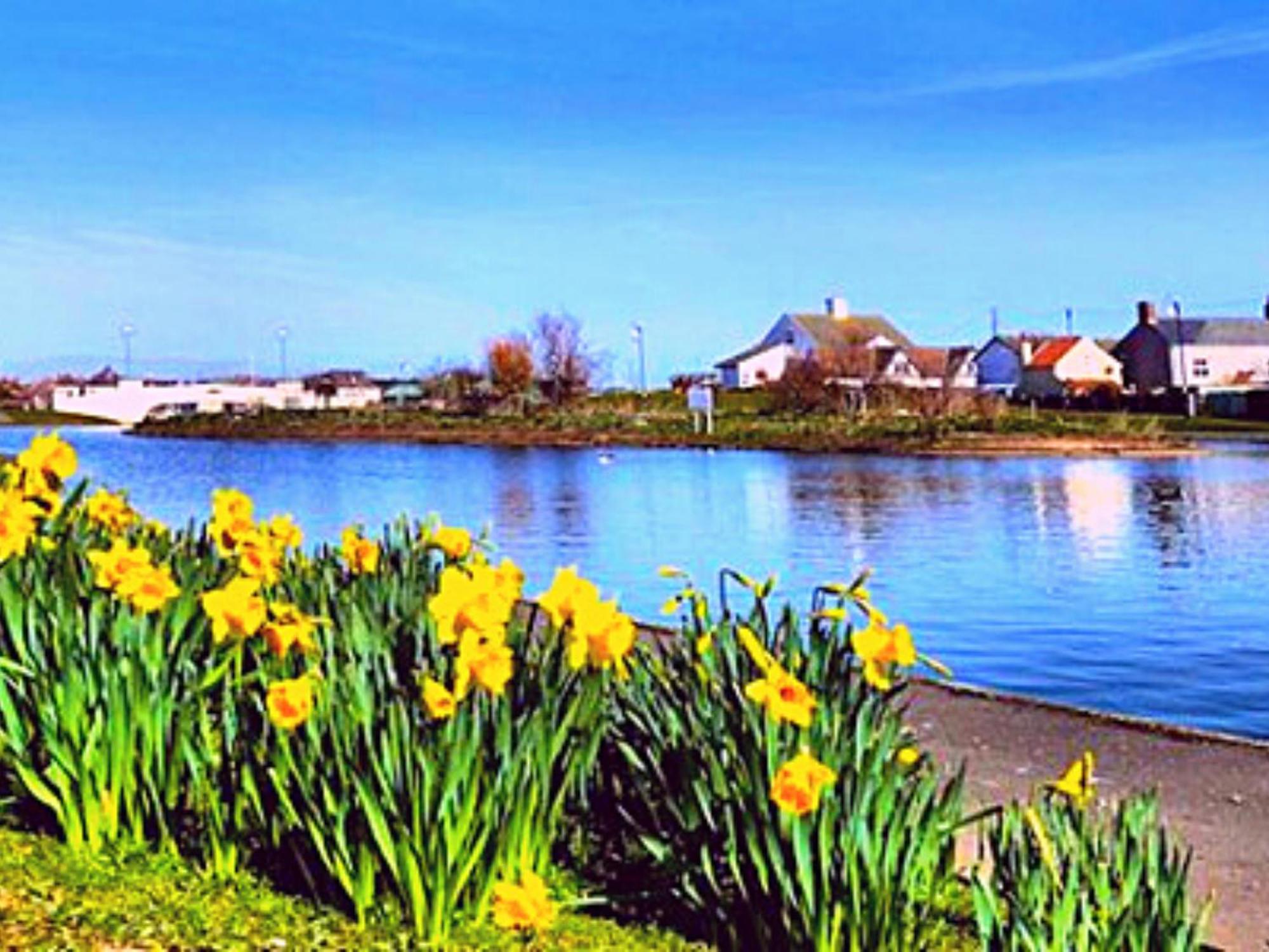 Romantic Lakeside Cottage By The Beach! With Super Cosy Log Burner! The Perfect Escape To Your Home From Home By The Sea! So Relaxing - You Won'T Want To Leave! Pet Friendly! مابليتورب المظهر الخارجي الصورة